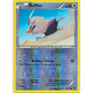 Rufflet - 92/114 (Reverse Foil) Thumb Nail