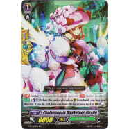 Phalaenopsis Musketeer, Kirstie Thumb Nail