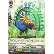 Protractor Peacock Thumb Nail