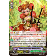 Ranunculus Flower Maiden, Ahsha Thumb Nail