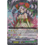 Maiden of Trailing Rose Thumb Nail