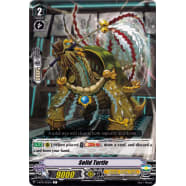 Solid Turtle Thumb Nail