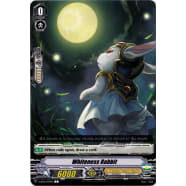 Whiteness Rabbit Thumb Nail