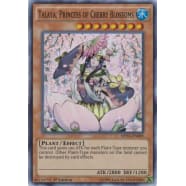 Talaya, Princess of Cherry Blossoms Thumb Nail