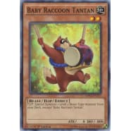 Baby Raccoon Tantan Thumb Nail