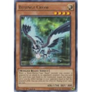 Bujingi Crow Thumb Nail