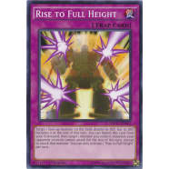 Rise to Full Height Thumb Nail