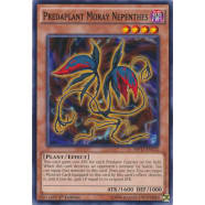 Predaplant Moray Nepenthes Thumb Nail