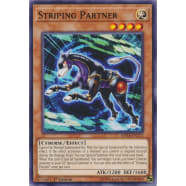 Striping Partner Thumb Nail