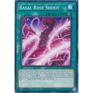 Basal Rose Shoot Thumb Nail