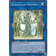 Sunavalon Daphne Thumb Nail