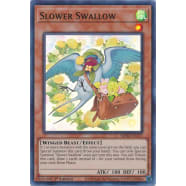 Slower Swallow Thumb Nail