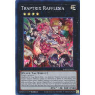 Traptrix Rafflesia (Super Rare) Thumb Nail