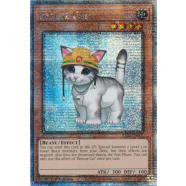 Rescue Cat (Quarter Century Secret Rare) Thumb Nail