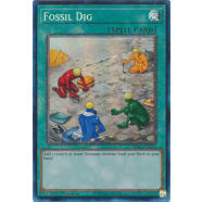 Fossil Dig (Collector's Rare) Thumb Nail