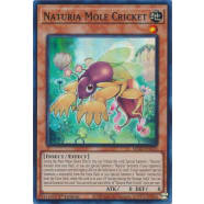 Naturia Mole Cricket Thumb Nail