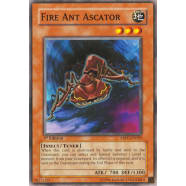 Fire Ant Ascator Thumb Nail