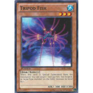 Tripod Fish Thumb Nail