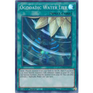 Ogdoadic Water Lily Thumb Nail