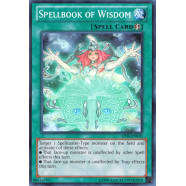 Spellbook of Wisdom Thumb Nail