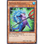 Spined Gillman Thumb Nail