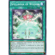 Spellbook of Wisdom Thumb Nail