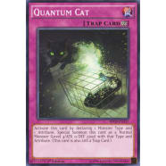 Quantum Cat Thumb Nail