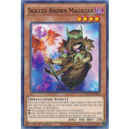 Skilled Brown Magician Thumb Nail