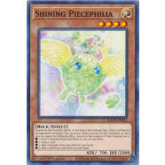 Shining Piecephilia Thumb Nail