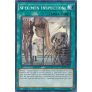 Specimen Inspection Thumb Nail