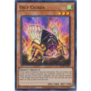 Oily Cicada Thumb Nail