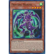 Praying Mantis Thumb Nail