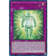 Protection of the Elements Thumb Nail