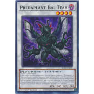 Predaplant Bal Teah Thumb Nail