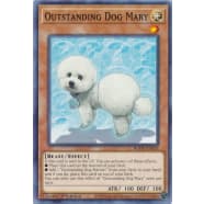 Outstanding Dog Mary Thumb Nail