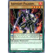 Igknight Paladin Thumb Nail