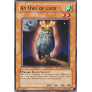 An Owl of Luck Thumb Nail