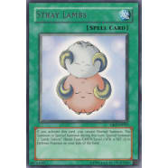 Stray Lambs Thumb Nail