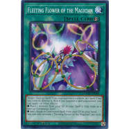 Fleeting Flower of the Magician Thumb Nail