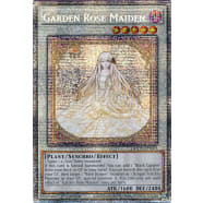 Garden Rose Maiden Thumb Nail
