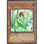 Naturia Rosewhip Thumb Nail
