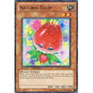 Naturia Tulip Thumb Nail