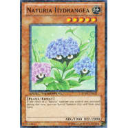 Naturia Hydrangea Thumb Nail