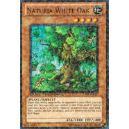 Naturia White Oak Thumb Nail