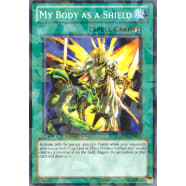 My Body as a Shield Thumb Nail