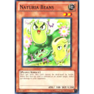 Naturia Beans Thumb Nail