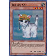 Rescue Cat Thumb Nail