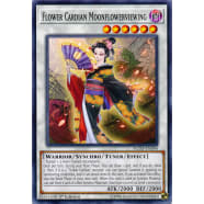 Flower Cardian Moonflowerviewing Thumb Nail