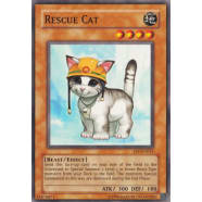 Rescue Cat Thumb Nail