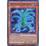 Predaplant Sarraceniant Thumb Nail